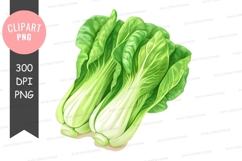 Bok choy clipart png Product Image 1