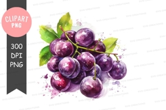 A bunch of plums clipart png Product Image 1