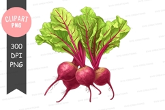 Fresh beetroot clipart png Product Image 1