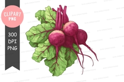 Fresh beets clipart png Product Image 1