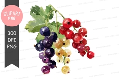 Assorted berries clipart png Product Image 1
