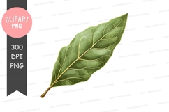 Green leaf clipart png Product Image 1