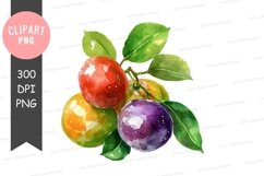 Vibrant citrus fruits clipart png Product Image 1