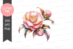 Delicate pink camellia flower clipart png Product Image 1