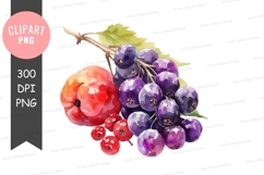 Assorted berries clipart png Product Image 1