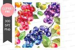 Vibrant berries clipart png Product Image 1
