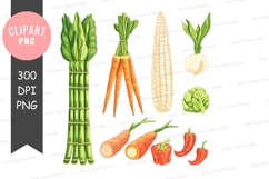 Assorted vegetables clipart png Product Image 1