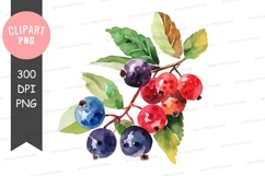 Mixed berries clipart png Product Image 1