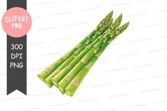 Fresh asparagus clipart png Product Image 1