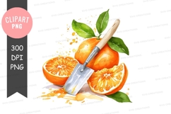 Freshly cut orange clipart png Product Image 1