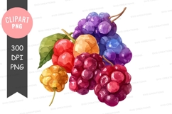 Assorted berries clipart png Product Image 1