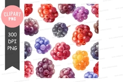 Colorful berries clipart png Product Image 1