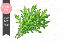 Fresh green leafy vegetable clipart png Product Image 1