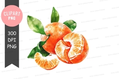 Fresh oranges clipart png Product Image 1
