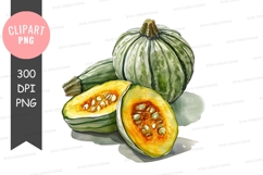 Green squash clipart png Product Image 1