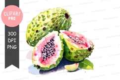 Soursop clipart png Product Image 1
