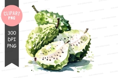 Bitter gourd clipart png Product Image 1