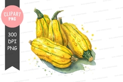 Yellow and green squashes clipart png Product Image 1