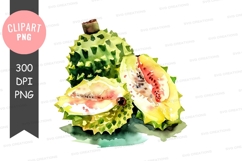 Soursop clipart png Product Image 1