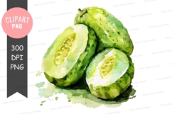 Watercolor illustration of bitter melon Product Image 1