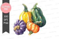 Autumn squash collection Product Image 1