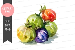 Assorted heirloom tomatoes clipart png Product Image 1