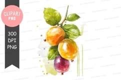 Vibrant citrus fruits clipart png Product Image 1