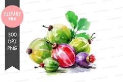 Colorful grapes clipart png Product Image 1