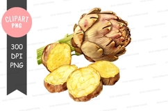 Artichoke clipart png Product Image 1