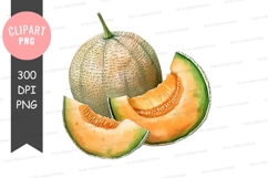 Fresh cantaloupe melon clipart png Product Image 1