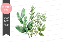 Green leaves clipart png Product Image 1
