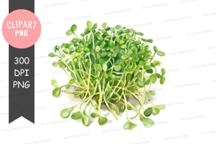 Fresh green microgreens clipart png Product Image 1