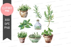 Herb garden clipart png Product Image 1