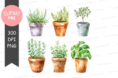 Herbs in pots clipart png Product Image 1