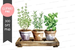 Herbs in pots clipart png Product Image 1
