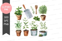 Herb garden clipart png Product Image 1