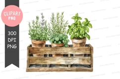 Herb garden in wooden crate Product Image 1