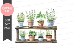 Herb garden clipart png Product Image 1