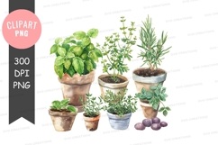 Herb garden clipart png Product Image 1