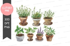 Assorted herb pots clipart png Product Image 1