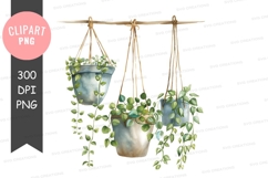 Hanging succulent plants clipart png Product Image 1