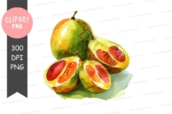 Watercolor illustration of grapefruits Product Image 1