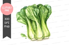 Fresh bok choy clipart png Product Image 1