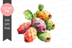 Colorful prickly pear cactus clipart png Product Image 1