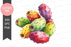 Colorful prickly pear cactus clipart png Product Image 1
