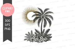 Palm tree with sun and coconuts Product Image 1