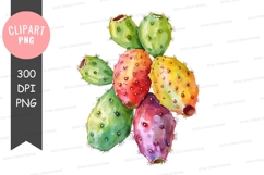 Colorful prickly pear cactus clipart png Product Image 1