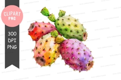 Colorful prickly pear cactus clipart png Product Image 1