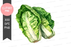 Fresh lettuce leaves clipart png Product Image 1