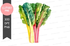Colorful swiss chard clipart png Product Image 1
